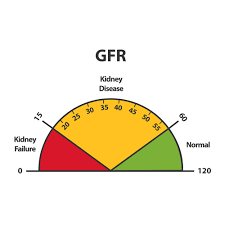 chronic-kidney-failure-gfr