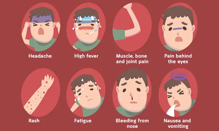 clinical features of dengue fever