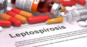 drugs with leptospirosis 