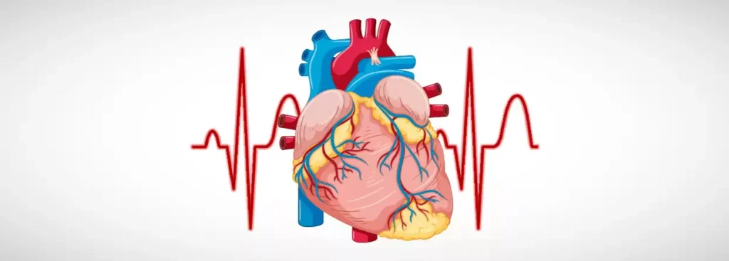 heart with ecg